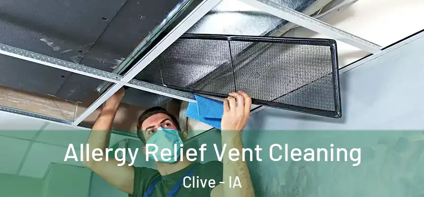 Allergy Relief Vent Cleaning Clive - IA