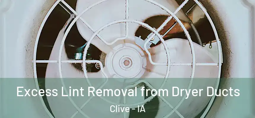 Excess Lint Removal from Dryer Ducts Clive - IA