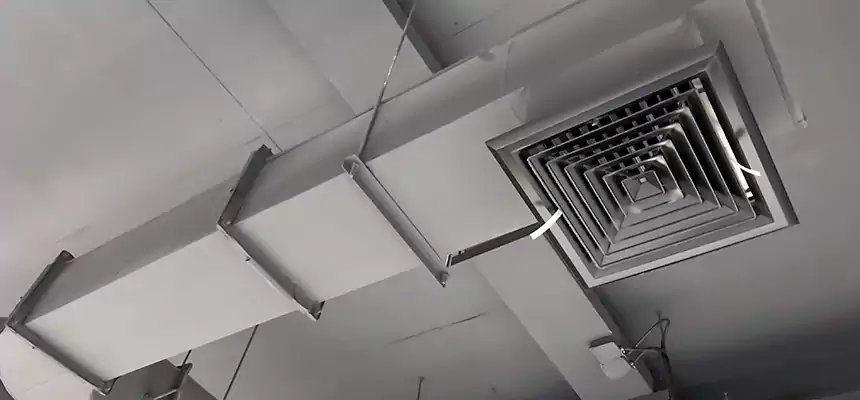 Our Pest Removal From Ducts Services in Clive, IA