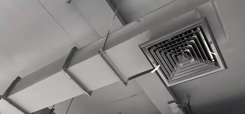 Our Rodent Droppings In Vents Services in Clive, IA