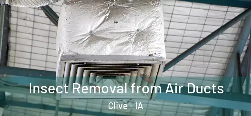  Insect Removal from Air Ducts Clive - IA