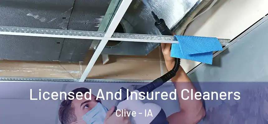 Licensed And Insured Cleaners Clive - IA