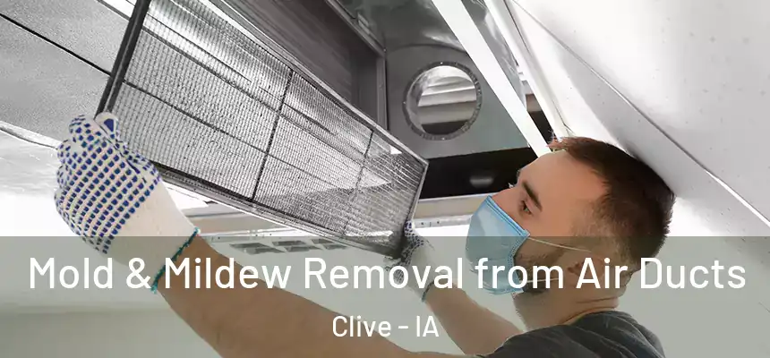  Mold & Mildew Removal from Air Ducts Clive - IA