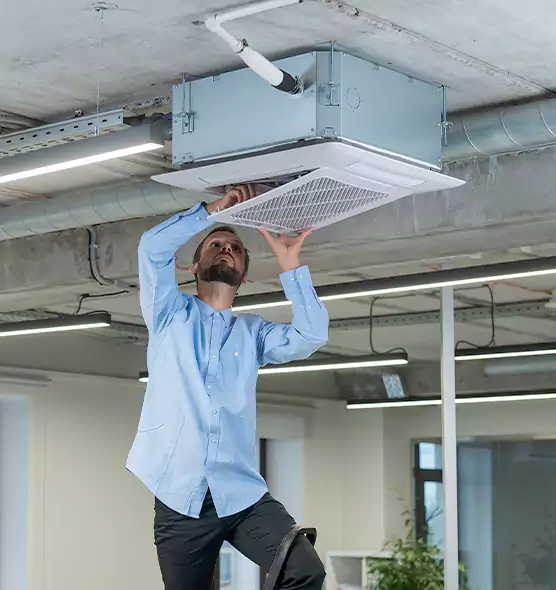 Advanced Rodent Droppings In Vents in Clive, IA