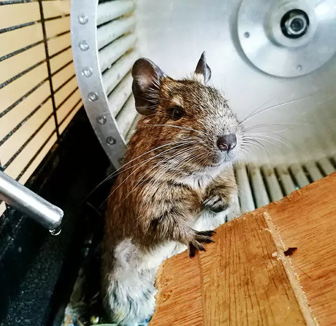 Why Homeowners & Businesses Trust Us Clive, IA?