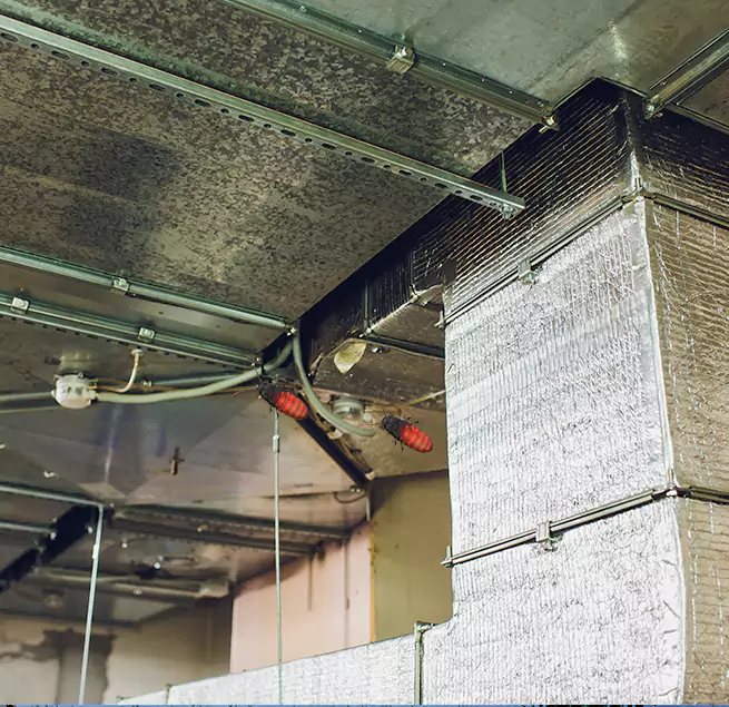 Why Homeowners & Businesses Trust Us Clive, IA?